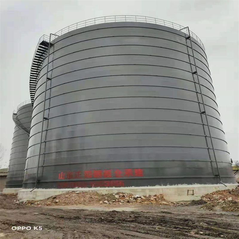 恩阳3万吨大型钢板库