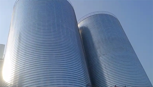 恩阳2座混凝土高架卷板仓